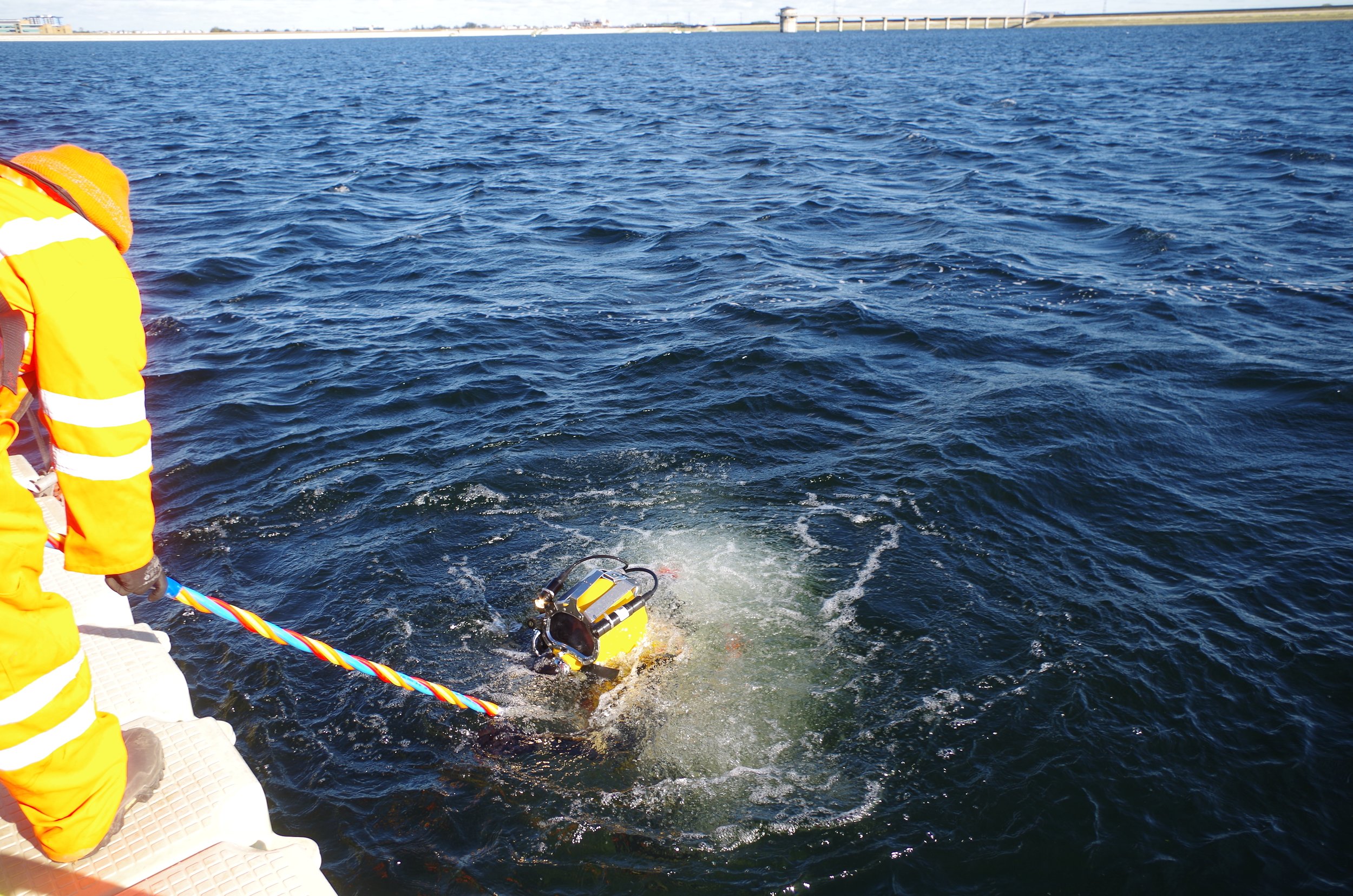 Reservoir Tower Dive Survey