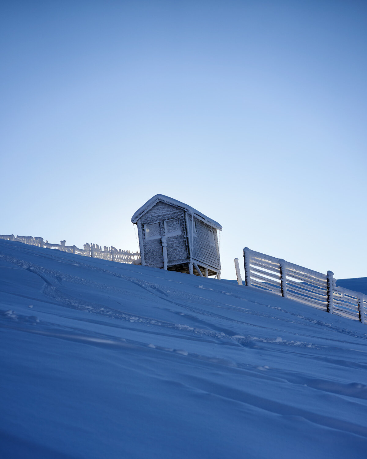 Cairngorm  06-01-21 230.jpg