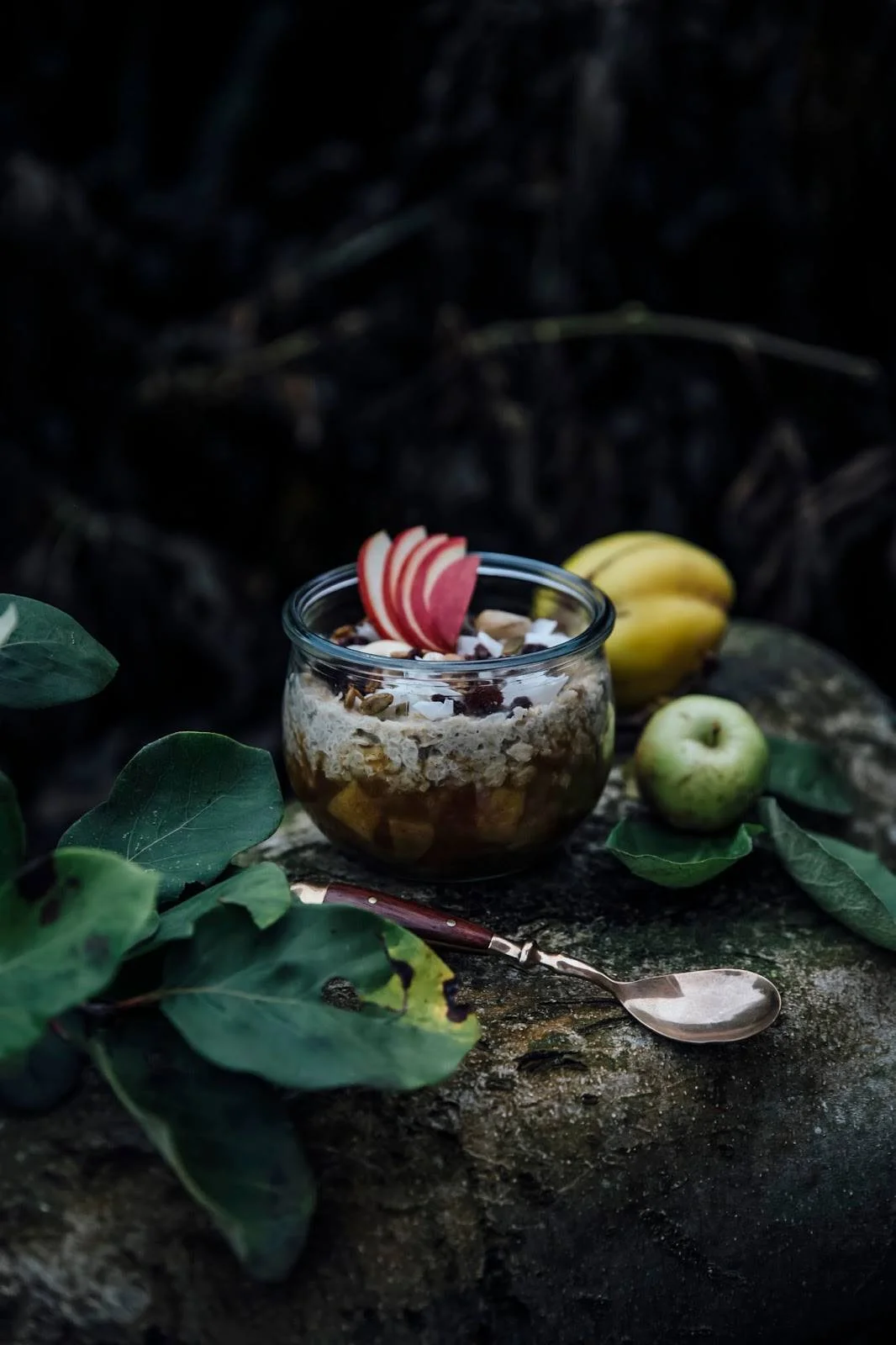 Power Packed Morning Oats