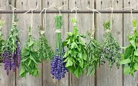 Supplementing During the First Trimester