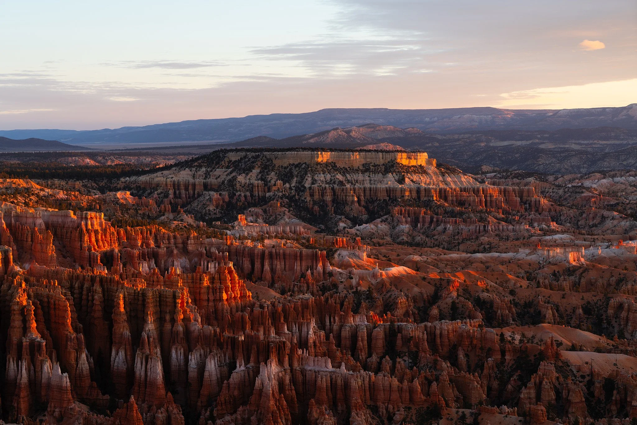 Warm sunlight during sunrise reflects off of the hoodoos in the valley of Bryce Canyon National Park