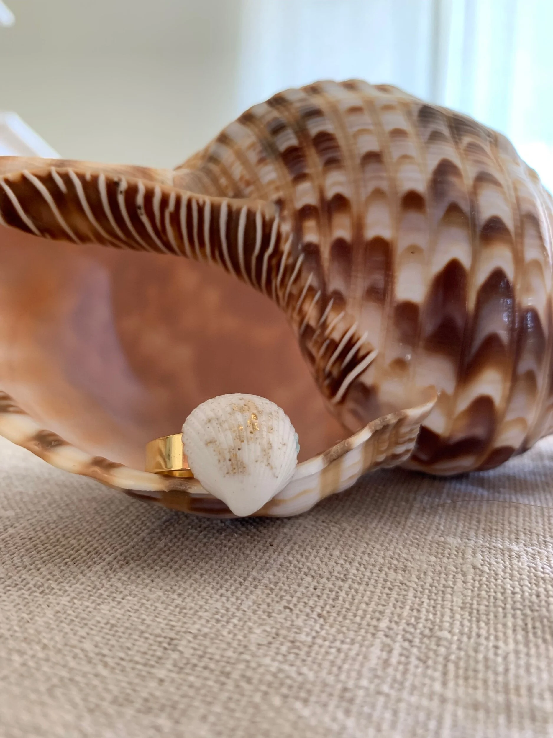 DF8BBDCF-CA6A-4B98-8C17-41E8E52CE6D0