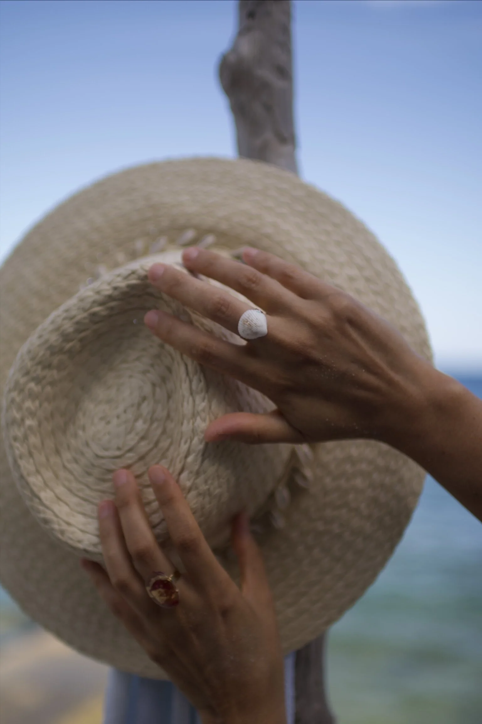 B769675A-90D4-4F88-90F7-BEFAC2FE01BC