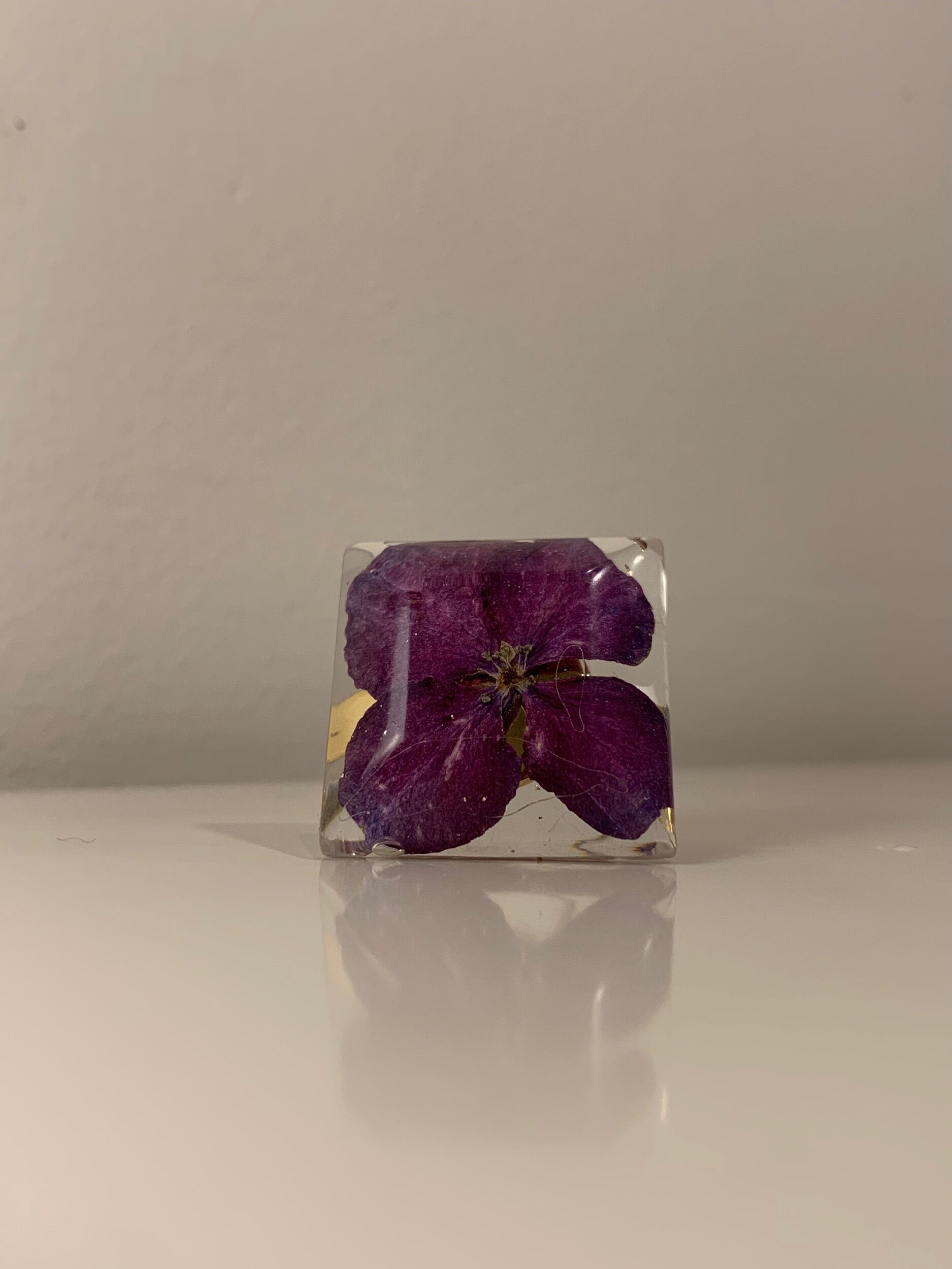 36844307-1A7A-405F-BD6C-2C86AC8FA398