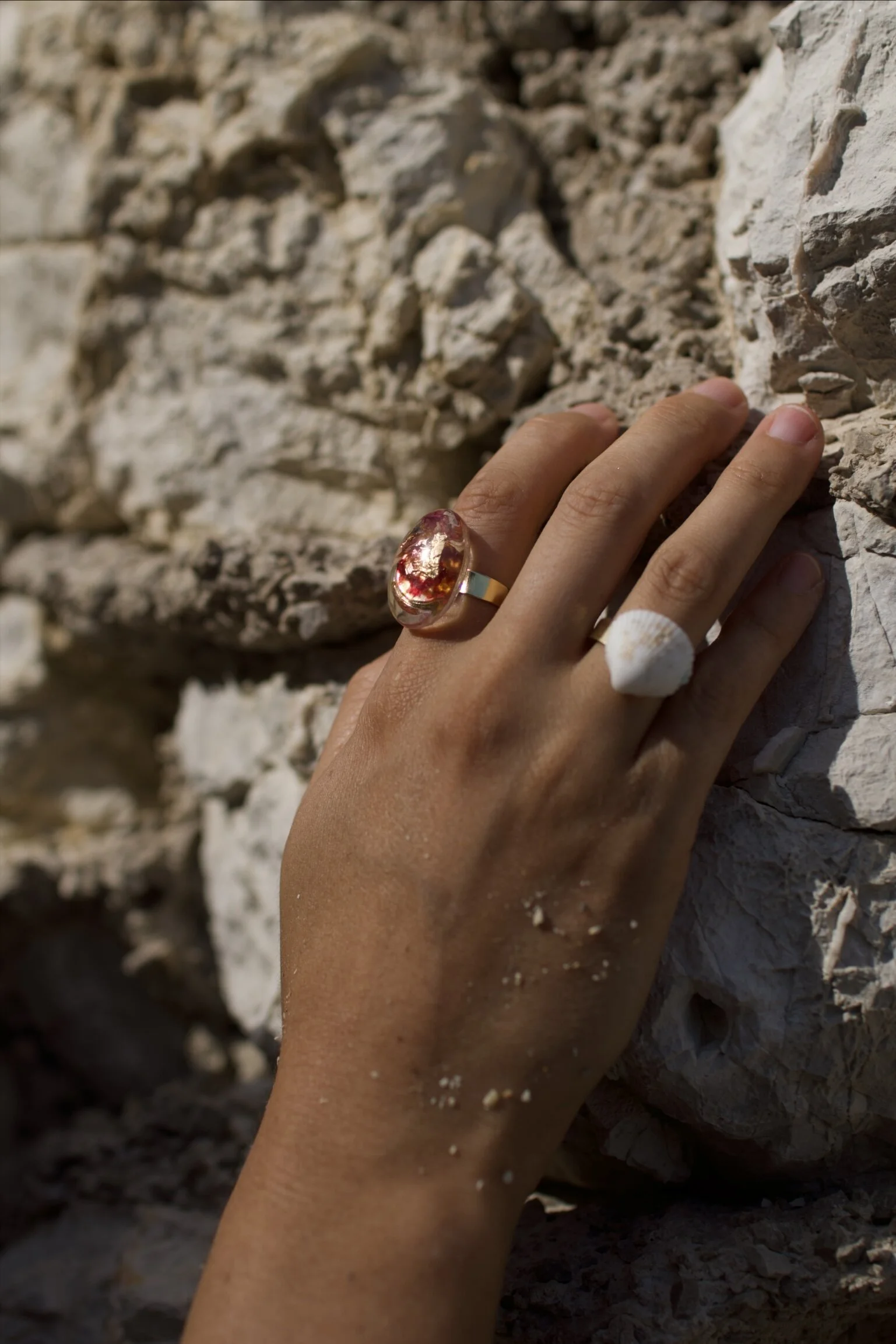 E414B7B5-CC6B-4D14-8E47-2098BE80AF2D