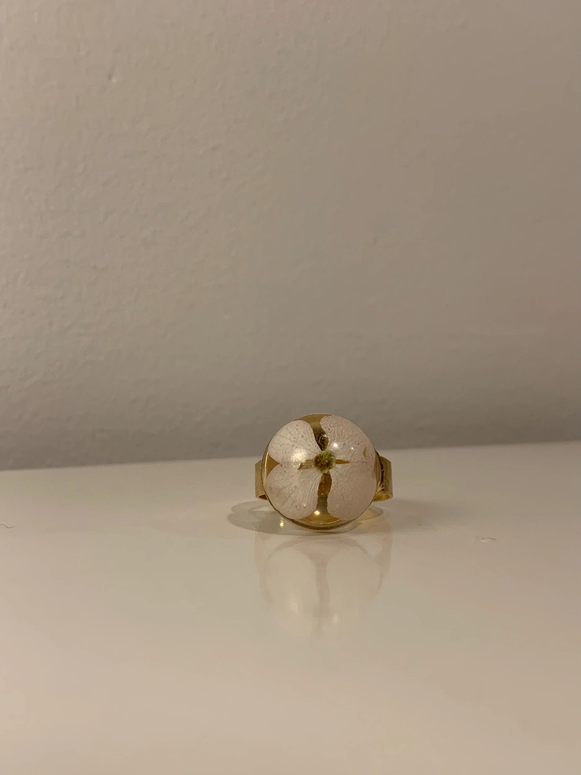 E40BA819-8B03-496E-952E-A5E1CD1191BB