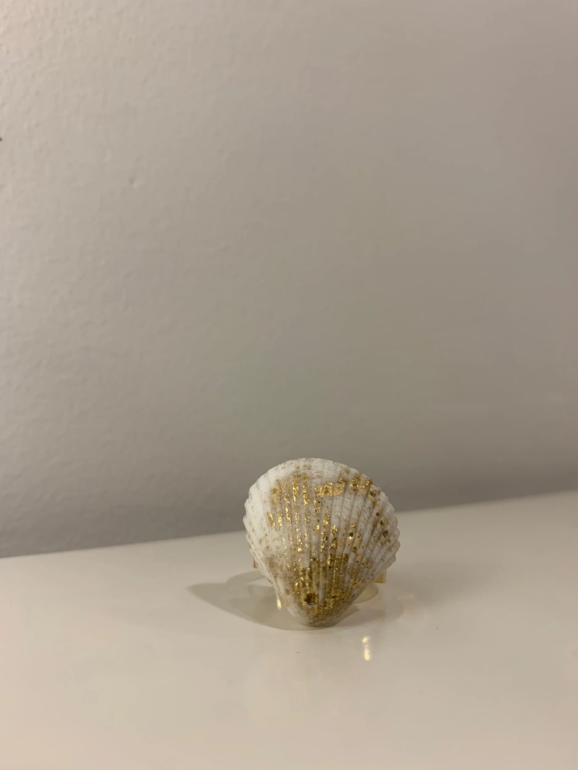 EABCE05B-DF9D-4917-8D77-A1AE2FBF8791