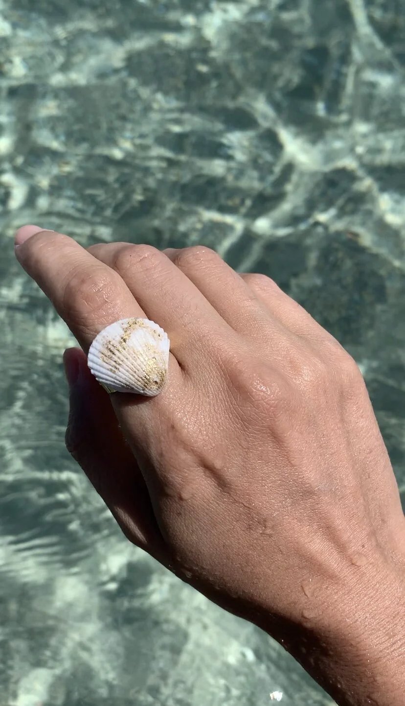 DBFE8929-D351-4151-91BF-16CB9F5D06E4