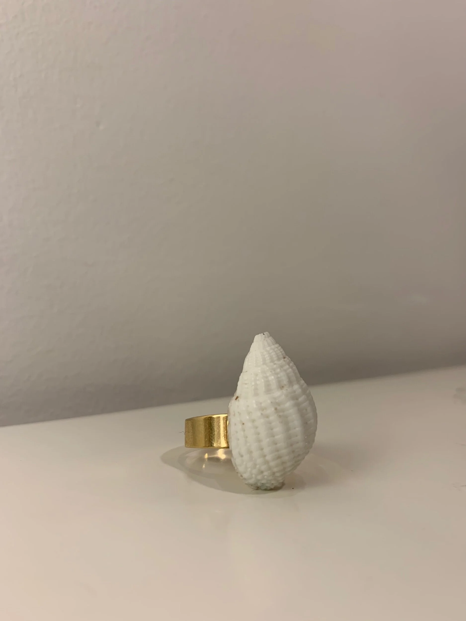 0738B4B0-4D5C-4721-9FE8-C6D910079660