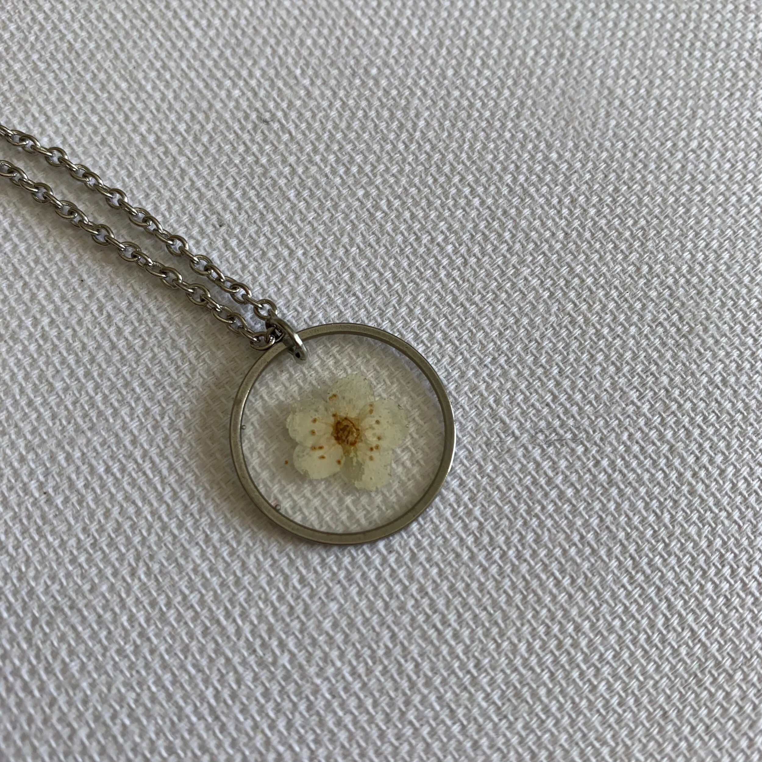 B0FEA168-4721-43DA-A5E3-D6FB75C0A89A