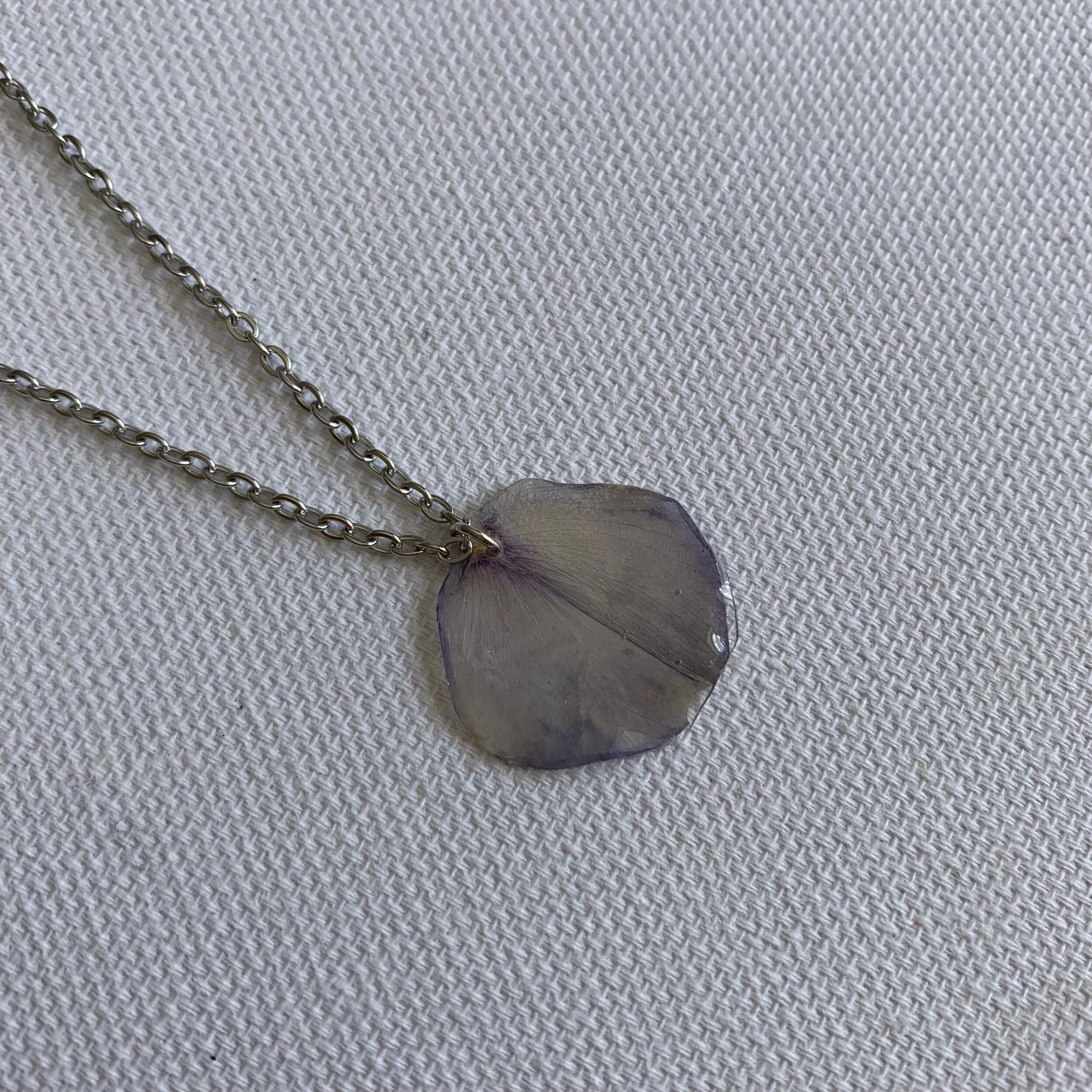 524748D9-13F3-48D3-B5E8-AA1A2986DB6F