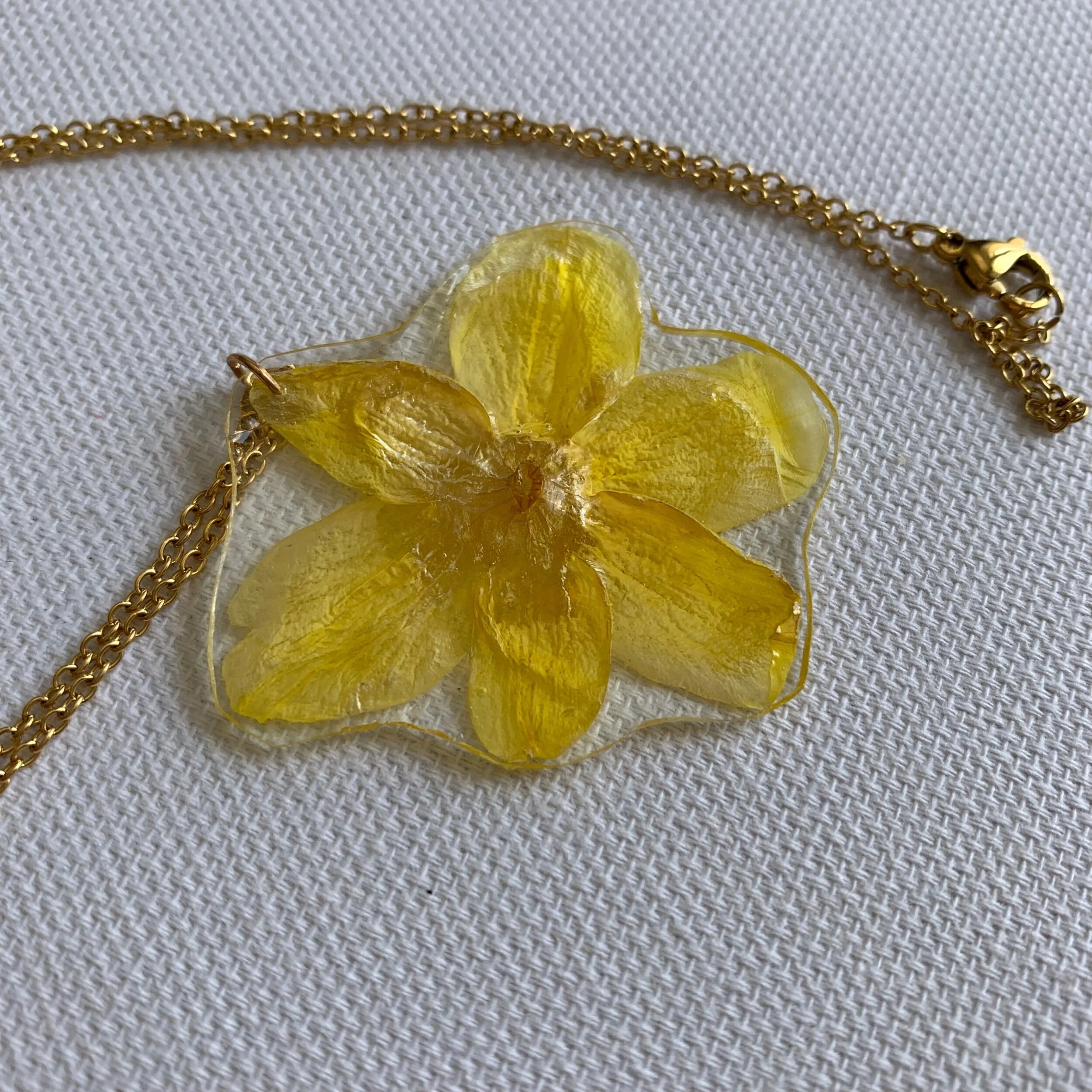 57366D93-9034-449B-8322-0D4BFA6C6506