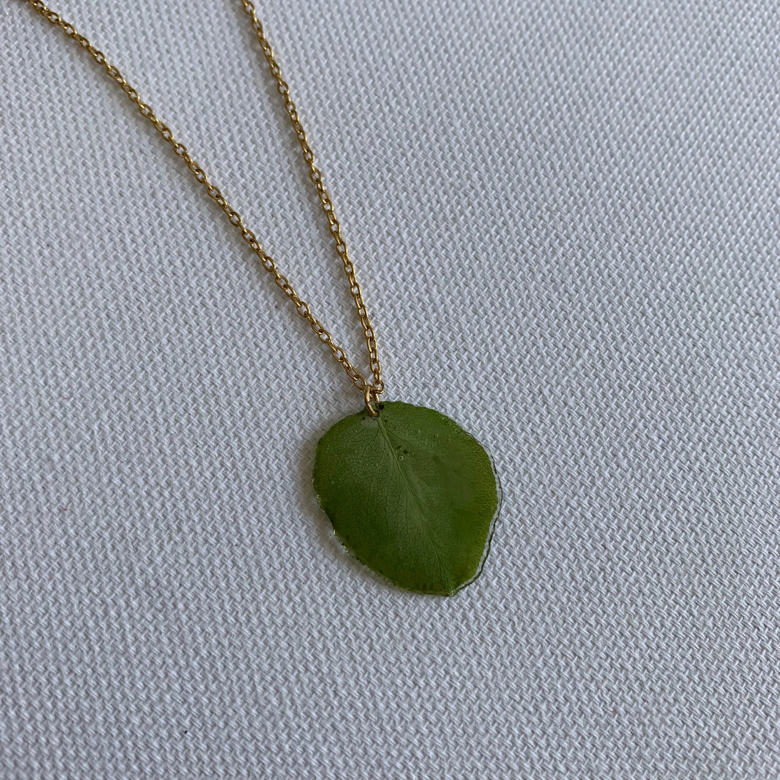 42E21BD1-3644-4F1E-809D-9E9111CFB030