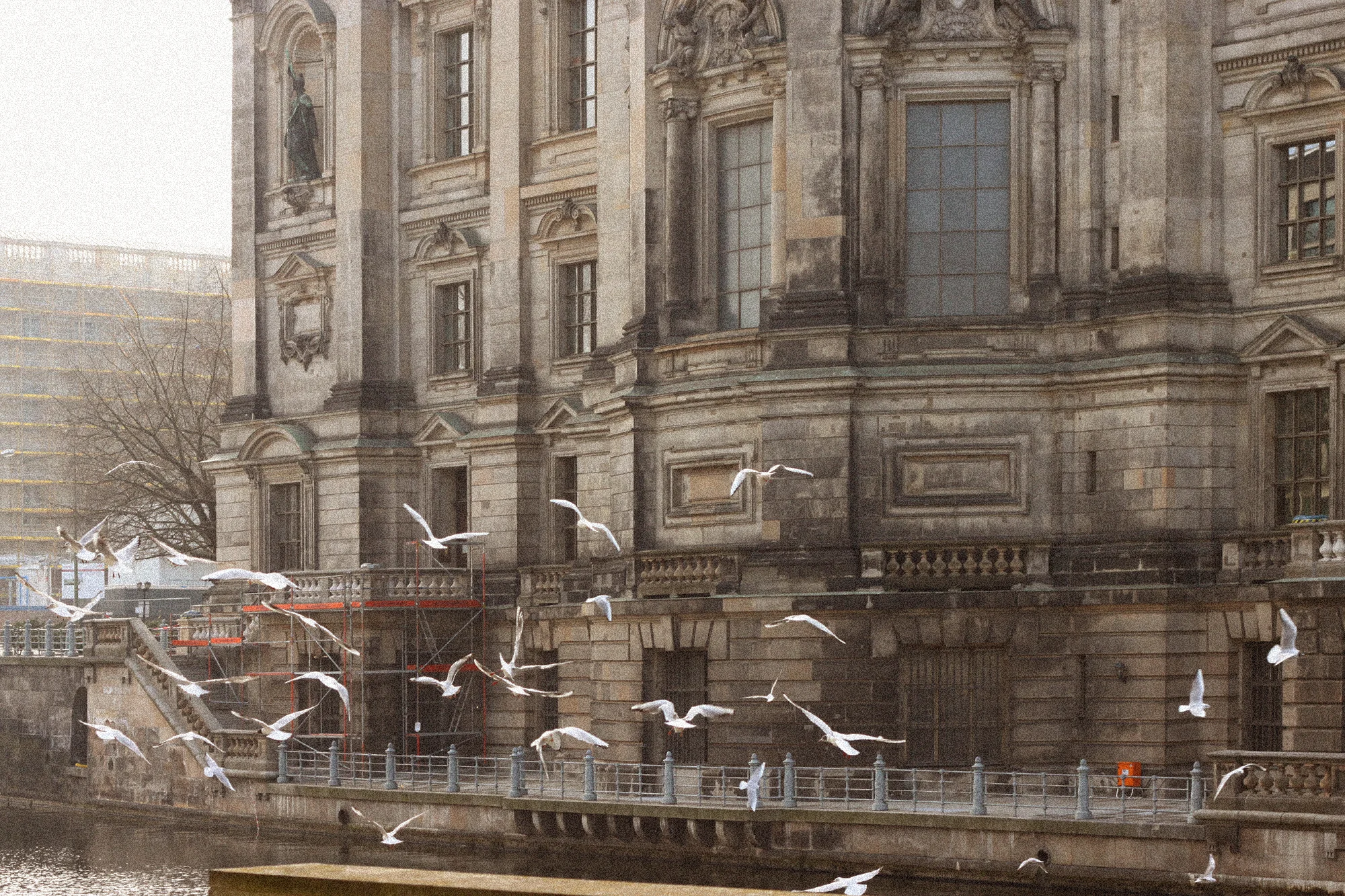 ruff-alias-singapore-art-digital-creative-illustrator-world-travel-solo-photography-germany-berlin