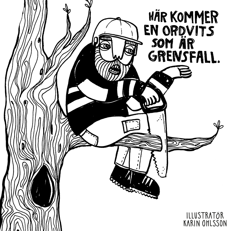 Karin-Ohlsson_Grensfall.png