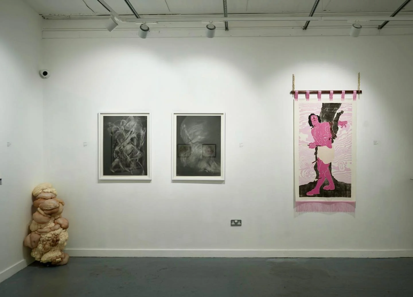 It&rsquo;s a wrap! &ldquo;Flesh + Sensations of the Baroque&rdquo; closed last weekend. It was a great welcome for me and my co-exhibitor @ireland_3000 to Cork City and a delight show work in such a cool place and great environment as the @lanewaygal