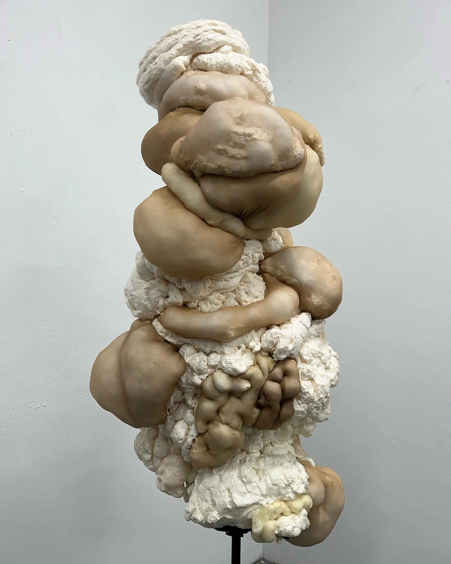 #irishartist #sculpture #abstractfigurative #softsculpture #countyclareartist #irishsculpture