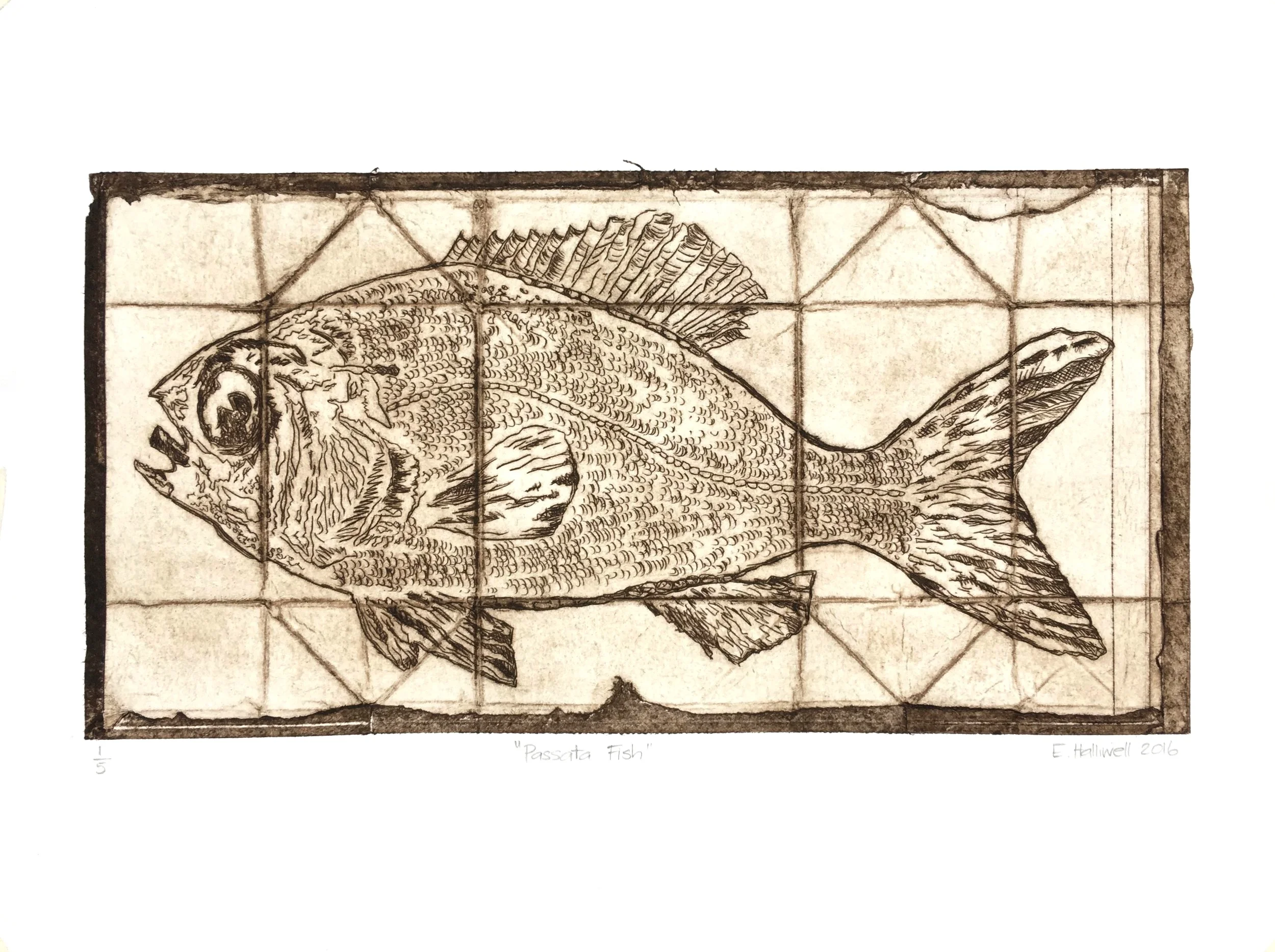 "Passata Fish" 2016