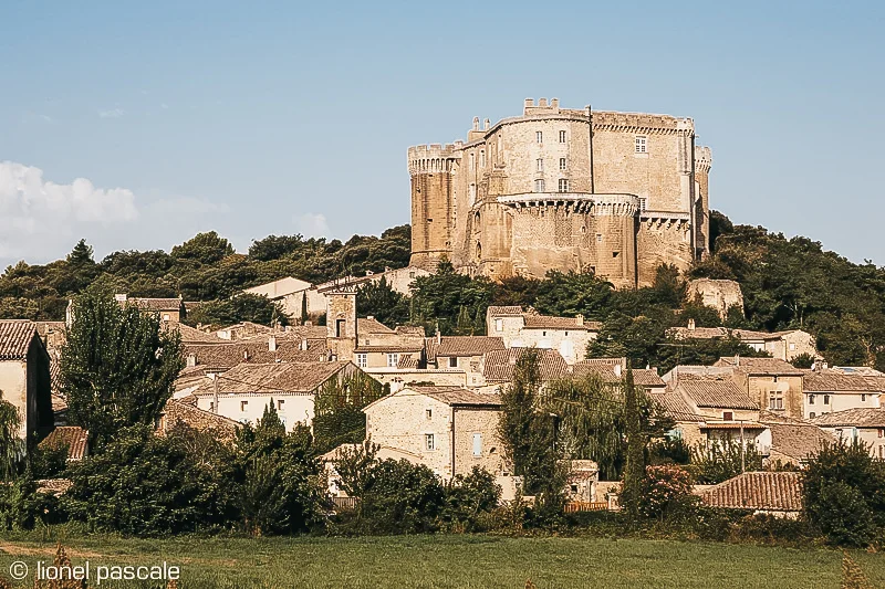 Copyright - © Lionel PASCALE
