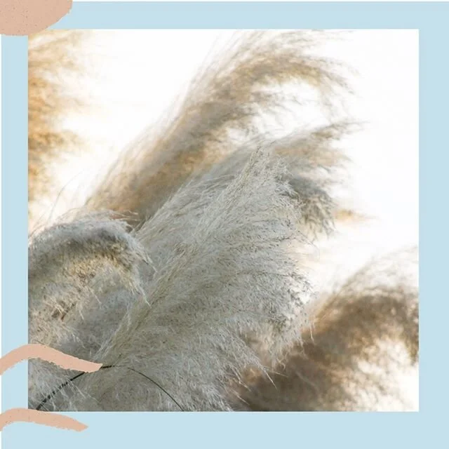 Give back to your followers! Have you ever wanted to give back to your Insta support crew?⁠
⁠
Think of creatives ways you can give back to your loyal social fans. Discount codes reward programs, private message groups, exclusive access to sales, new drops and exciting news in your business. ⁠
⁠
Making unique rewards for your social followers is also a great way to see how many people from socials use your codes. For example, post a discount code only on social media and see how many people use it, do the same for your mailing list, website. If each platform has a unique code you'll quickly start to see where your audience engages with you the most!