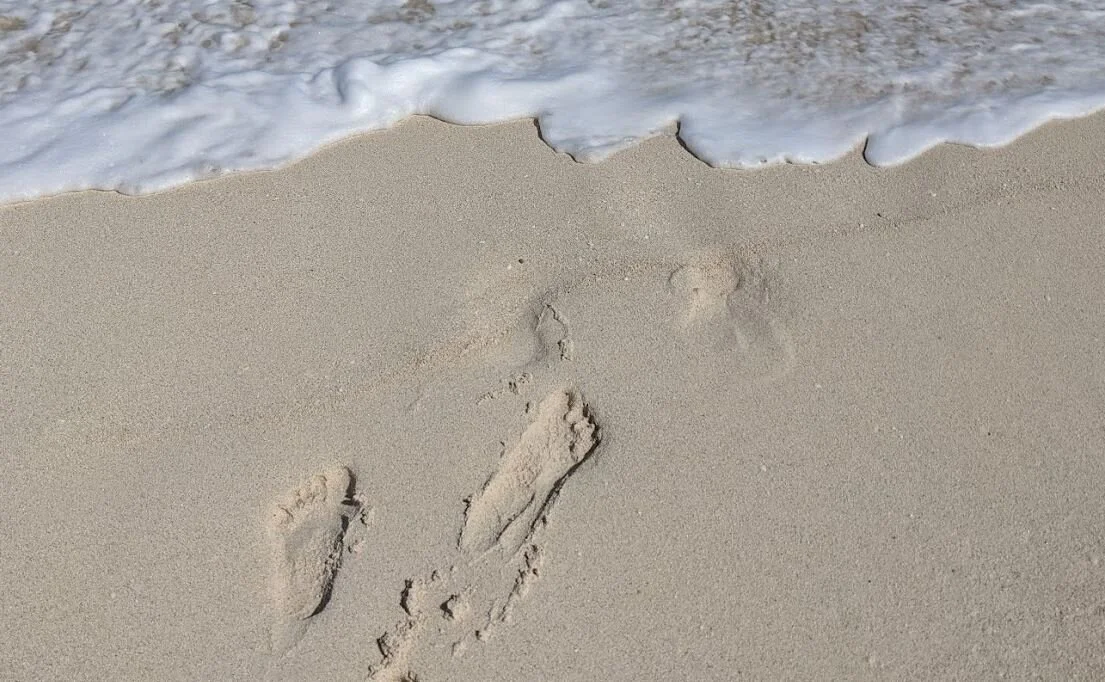 Where Will You Go? (Part 2 - Tourist "Traps")