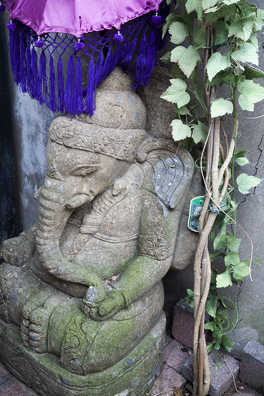 image7.jpeg
