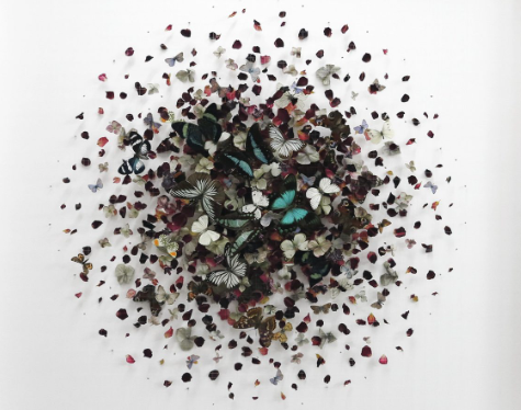 Anna Masters