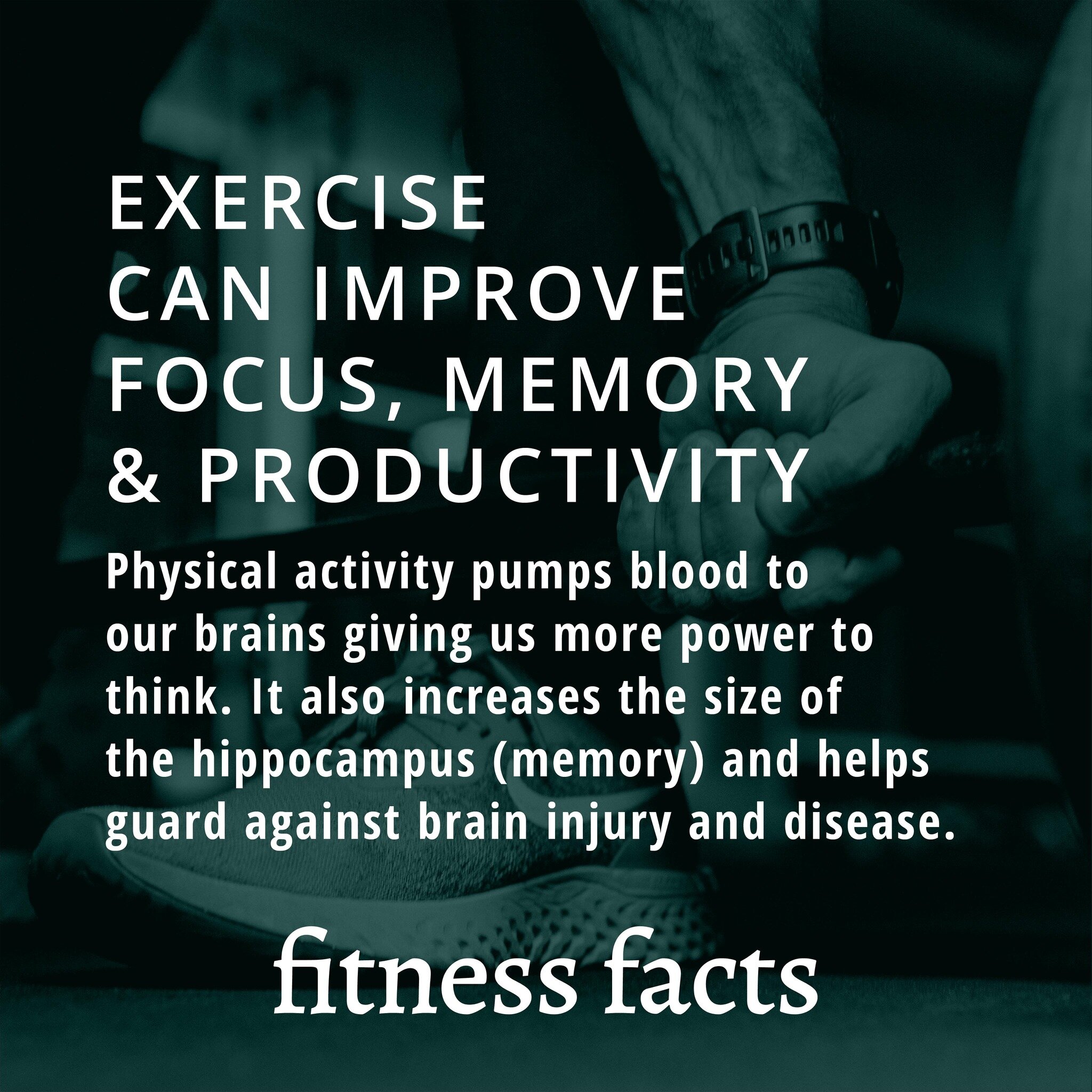 💦 Fitness Fact of the day 💦

Who knew moving the body was good for the 🧠?

Sounds like another reason to keep working toward your fitness goals.

Send this to someone who needs encouragement today 💪

#fitnessfacts #419gyms #ohiogyms #revitalizefi