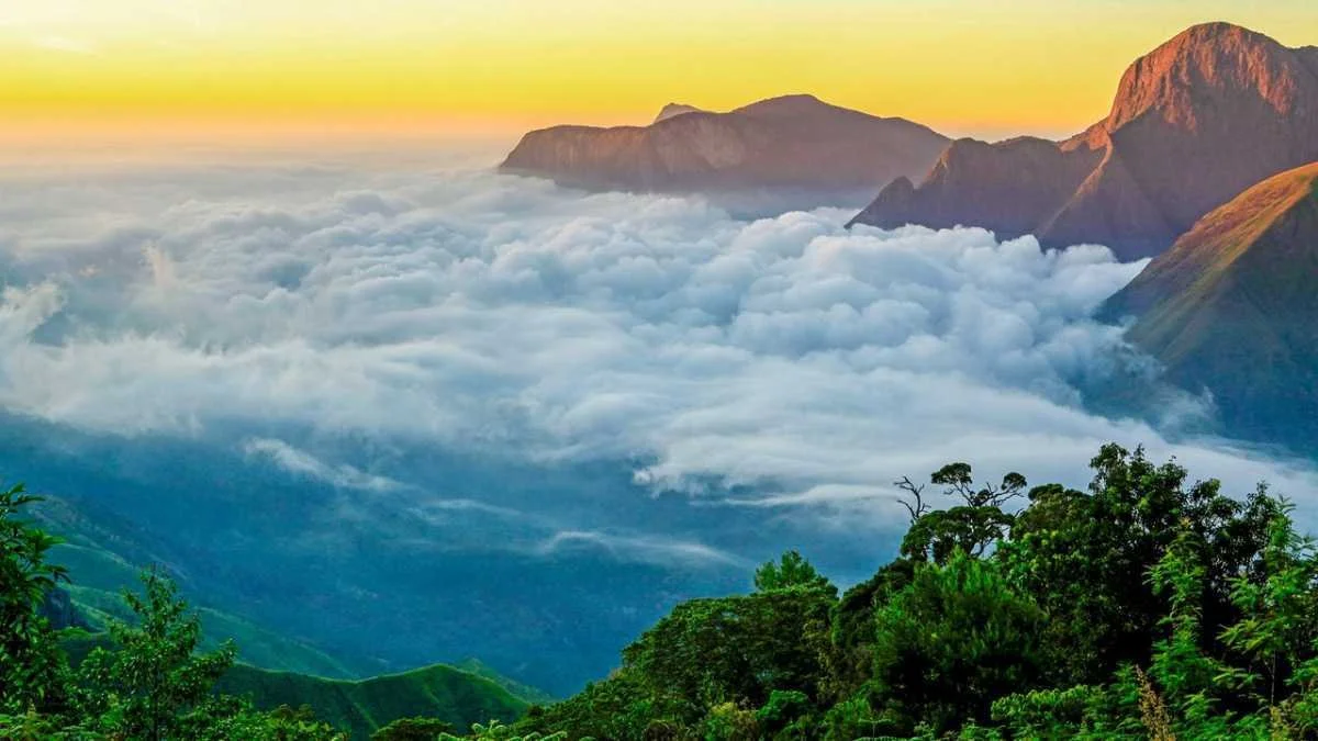 top-station-munnar-kerala-1-attr-hero_20250207214228_20250207214307.jpg