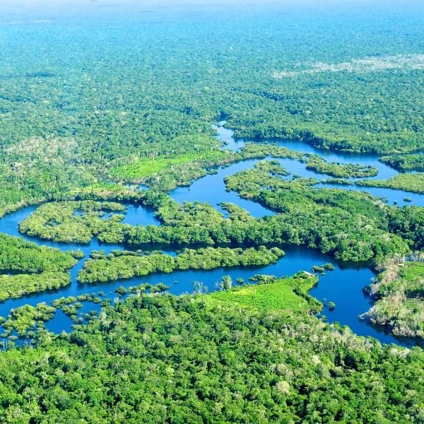 amazon-river-basin.jpg