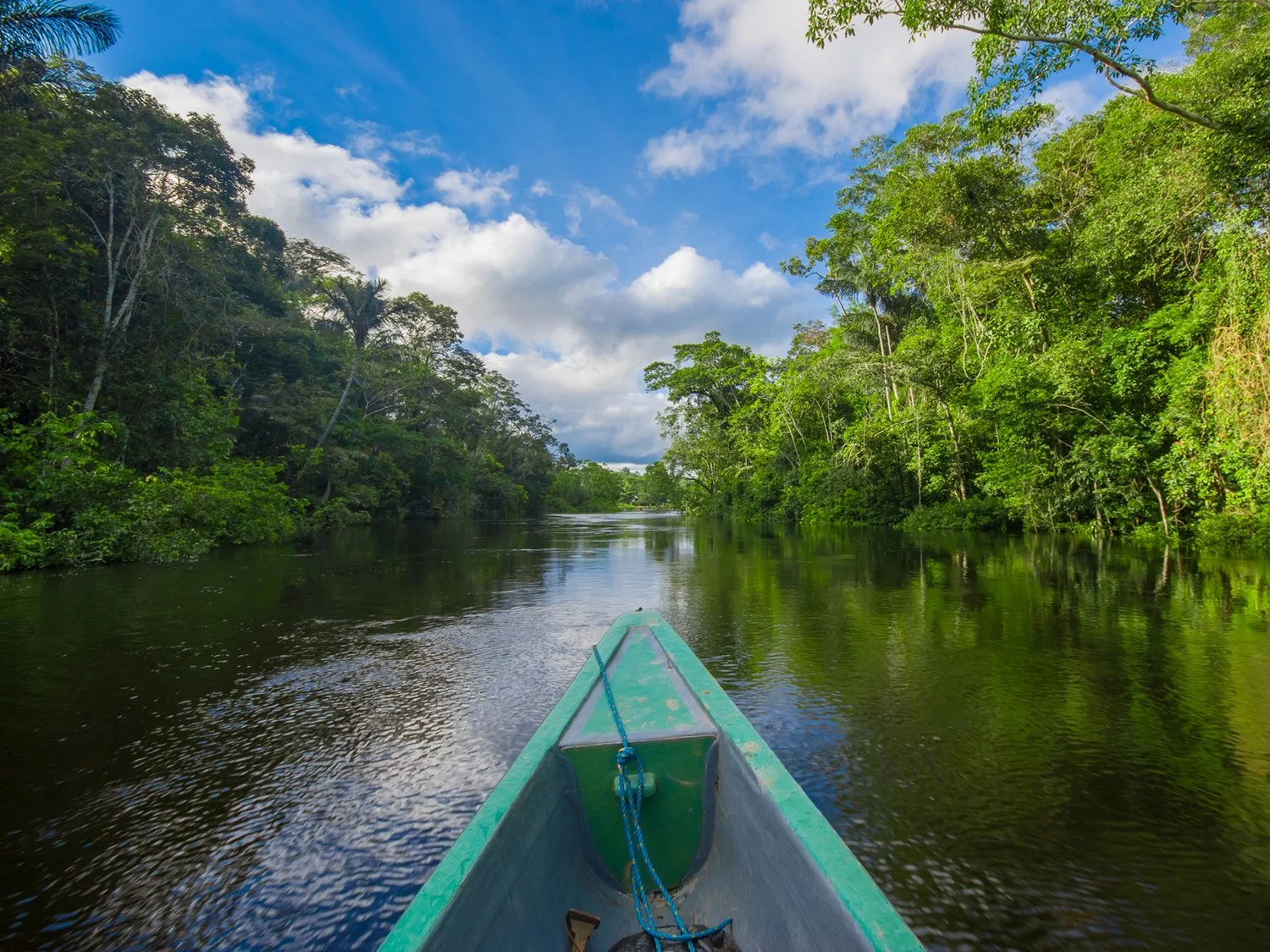 Travelling-by-boat-into-the-depth-of-Amazon-Jungles-in-Cuyabeno-National-Park-Ecuador-691421549621844.jpg