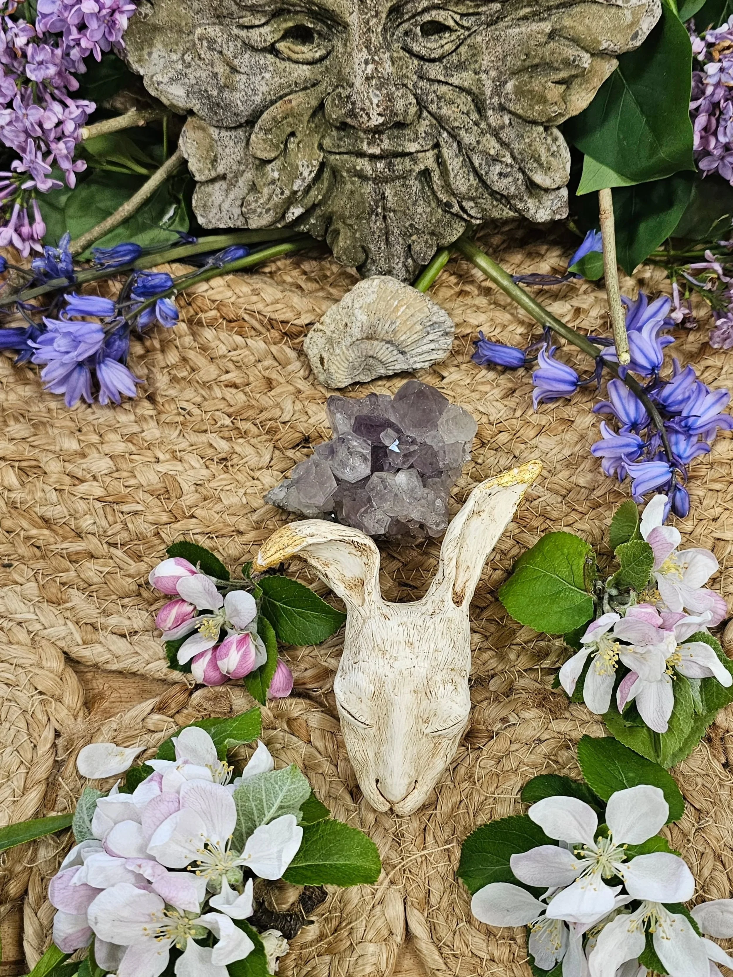 The pulsation of life at this time of year is so glorious
Nature celebrating in full force 🌱🌸🌿🪻🌳🌷
The buzz &amp; humm of it all can be such a felt experience ~ when we simply take some time to be outside ~ on &amp; surrounded by the earth
~
Ano