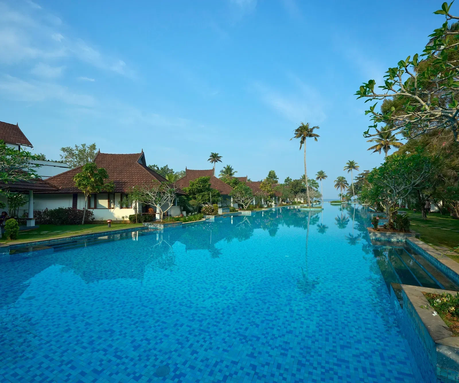 NBL01647_km7g9o.webp