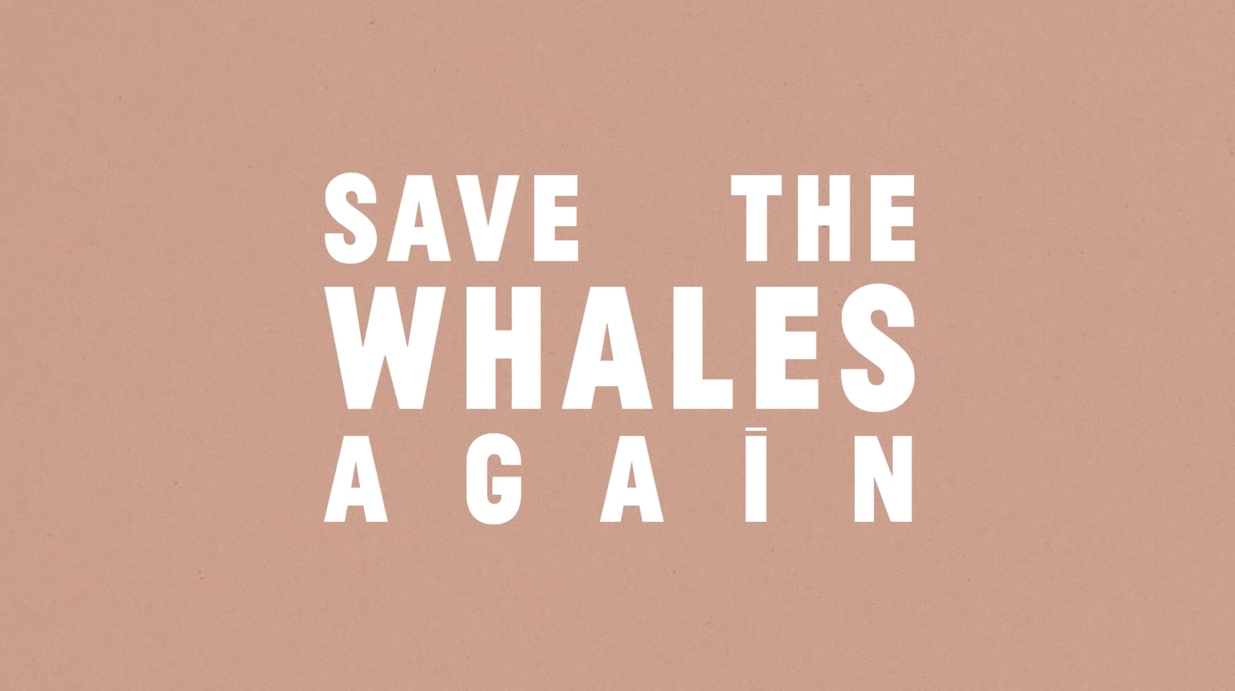 Screenshot 2022-10-03 at 15.38.15.png