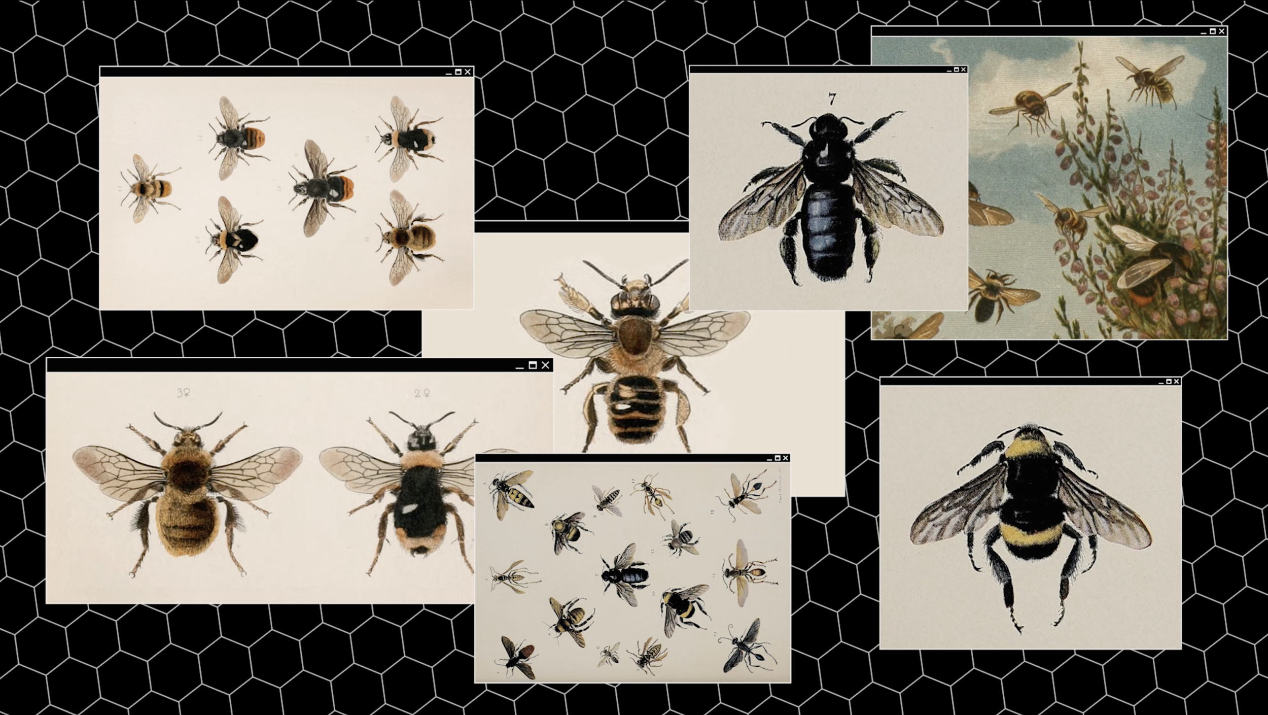 Screenshot 2022-10-03 at 15.34.54.png