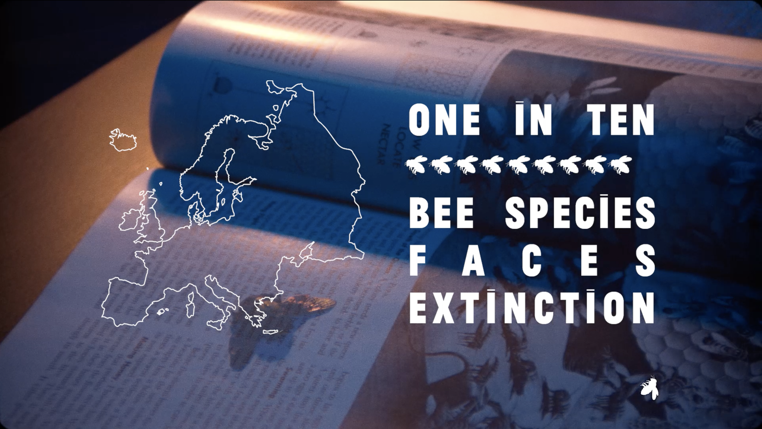 Screenshot 2022-10-03 at 15.35.43.png