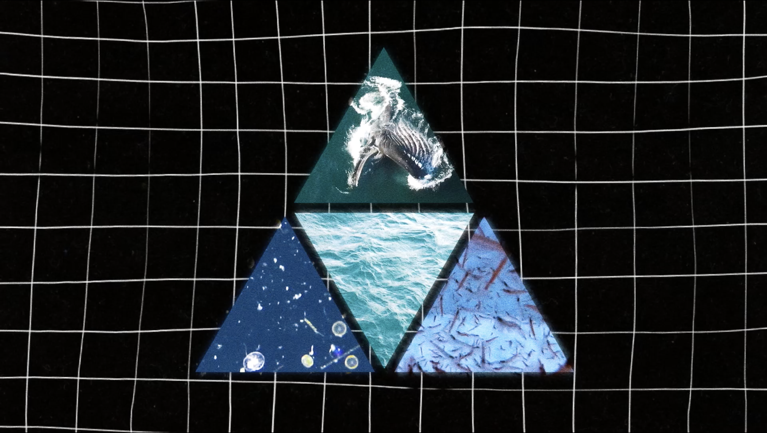 Screenshot 2022-10-03 at 15.40.25.png