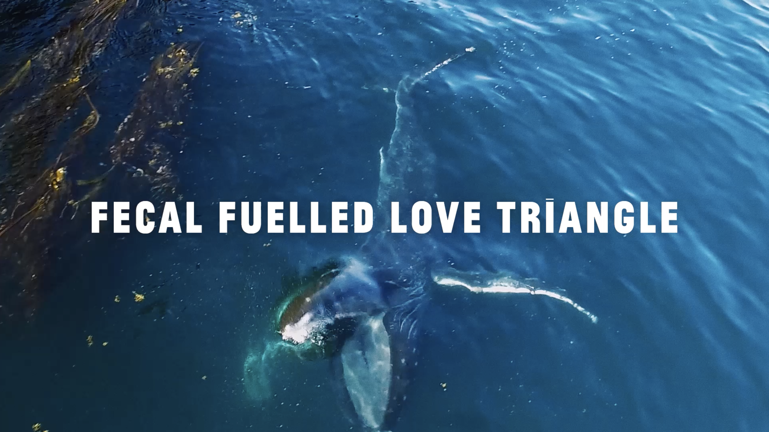 Screenshot 2022-10-03 at 15.41.56.png