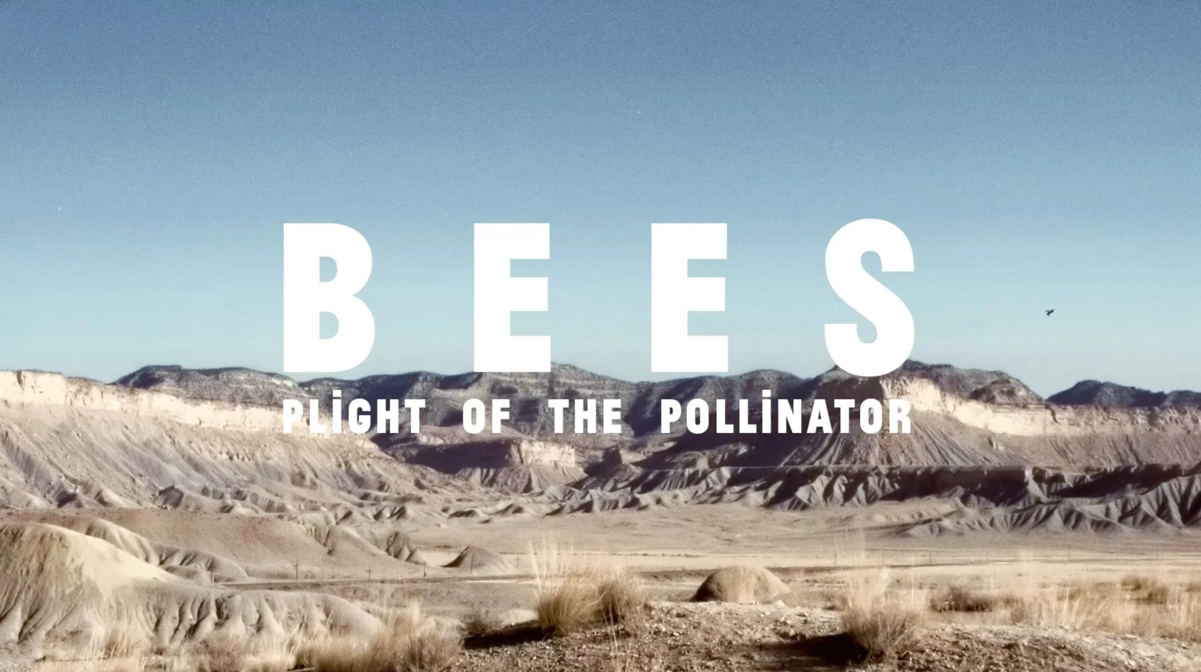 Screenshot 2022-10-03 at 15.33.50.png