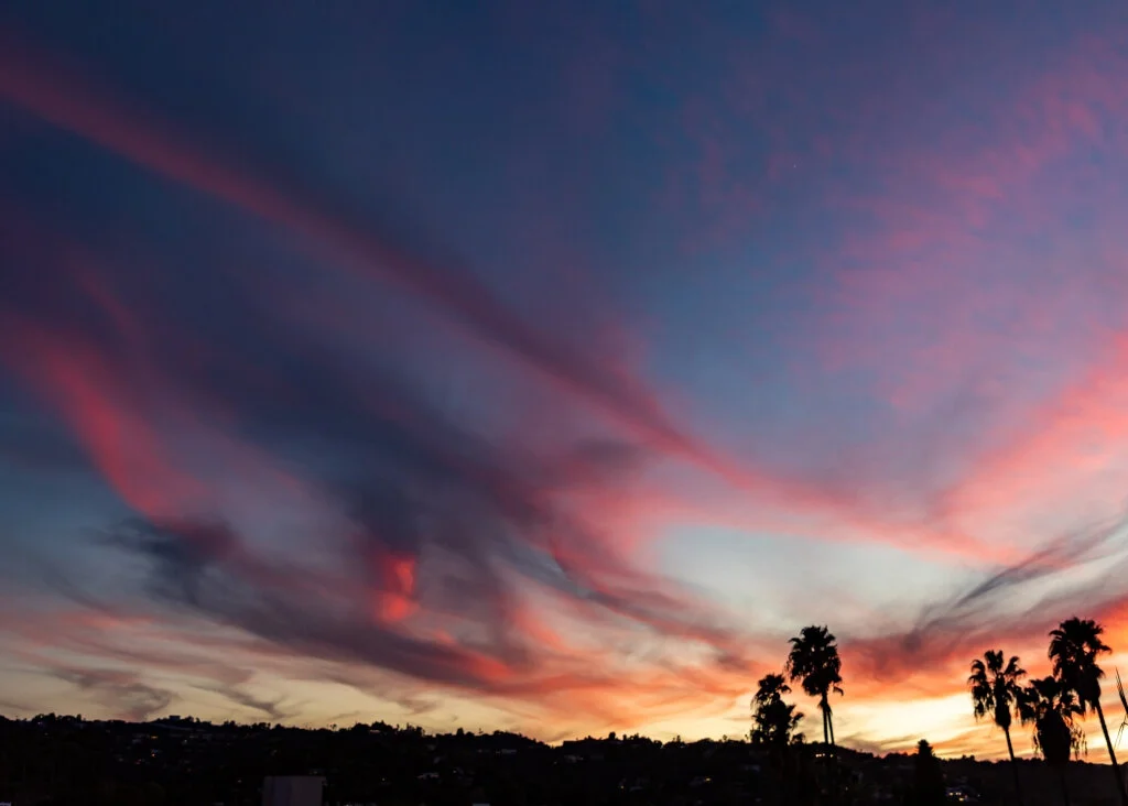 canvas_rectangle5_7_158_0_4426_3162_0.png