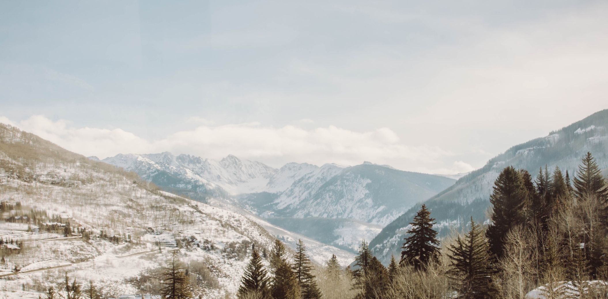 SUZIHIXONFEB2019-8276-2.jpg