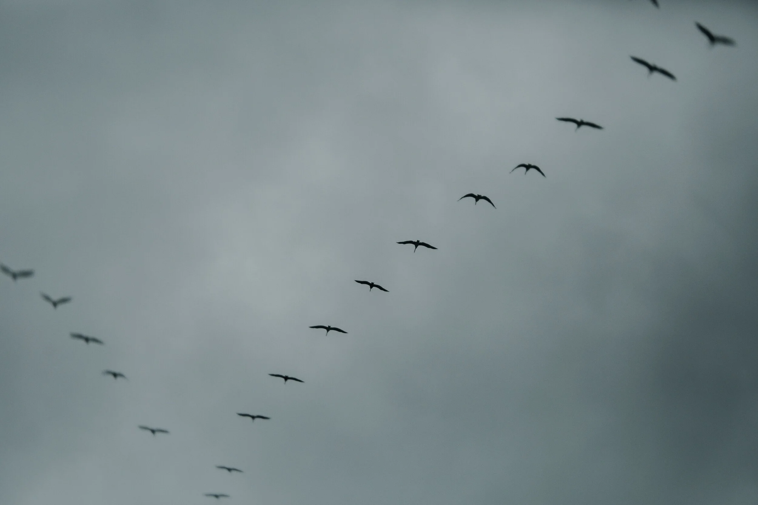 If it doesn’t include pleasure, it’s not sustainable.