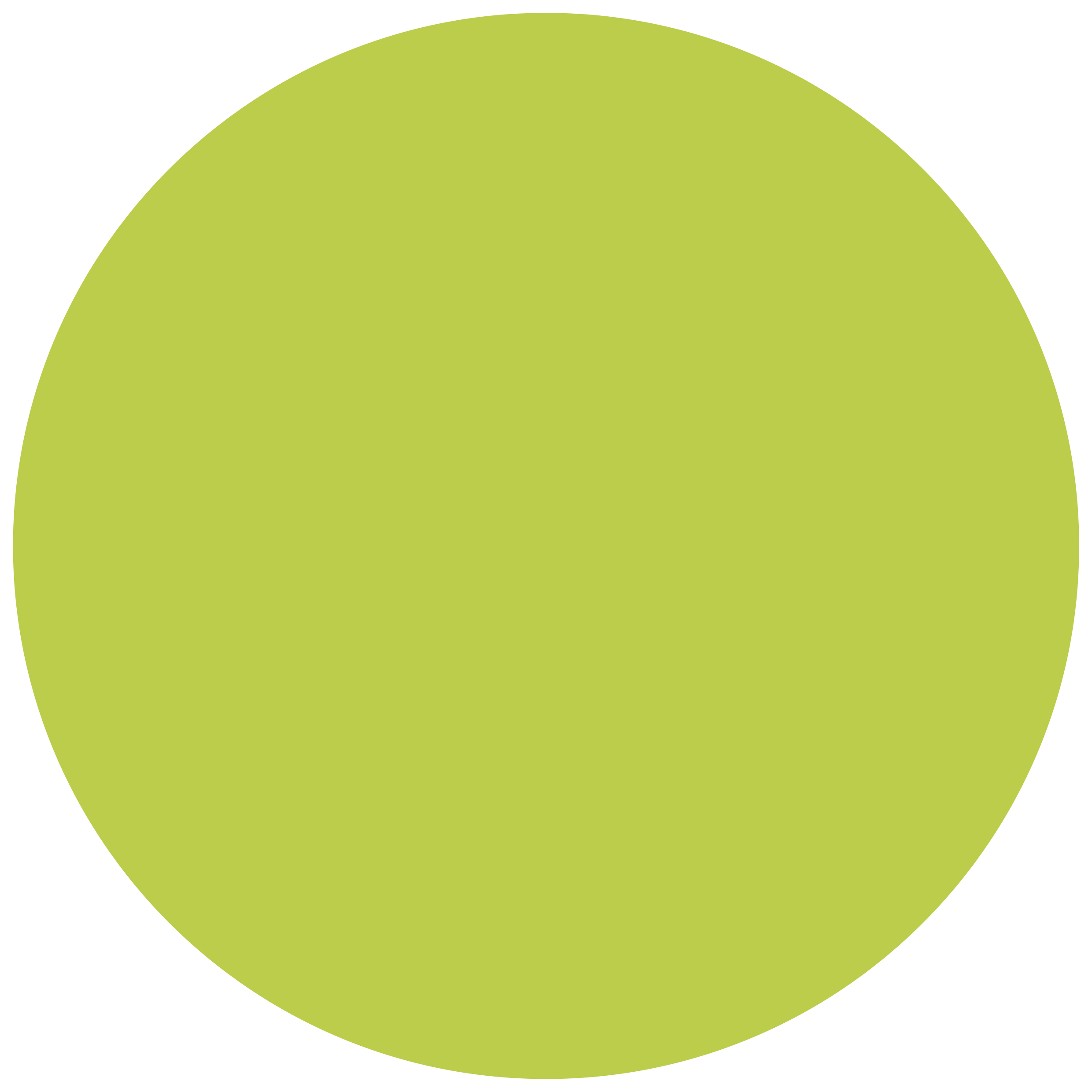 LIME CIRCLE.jpg