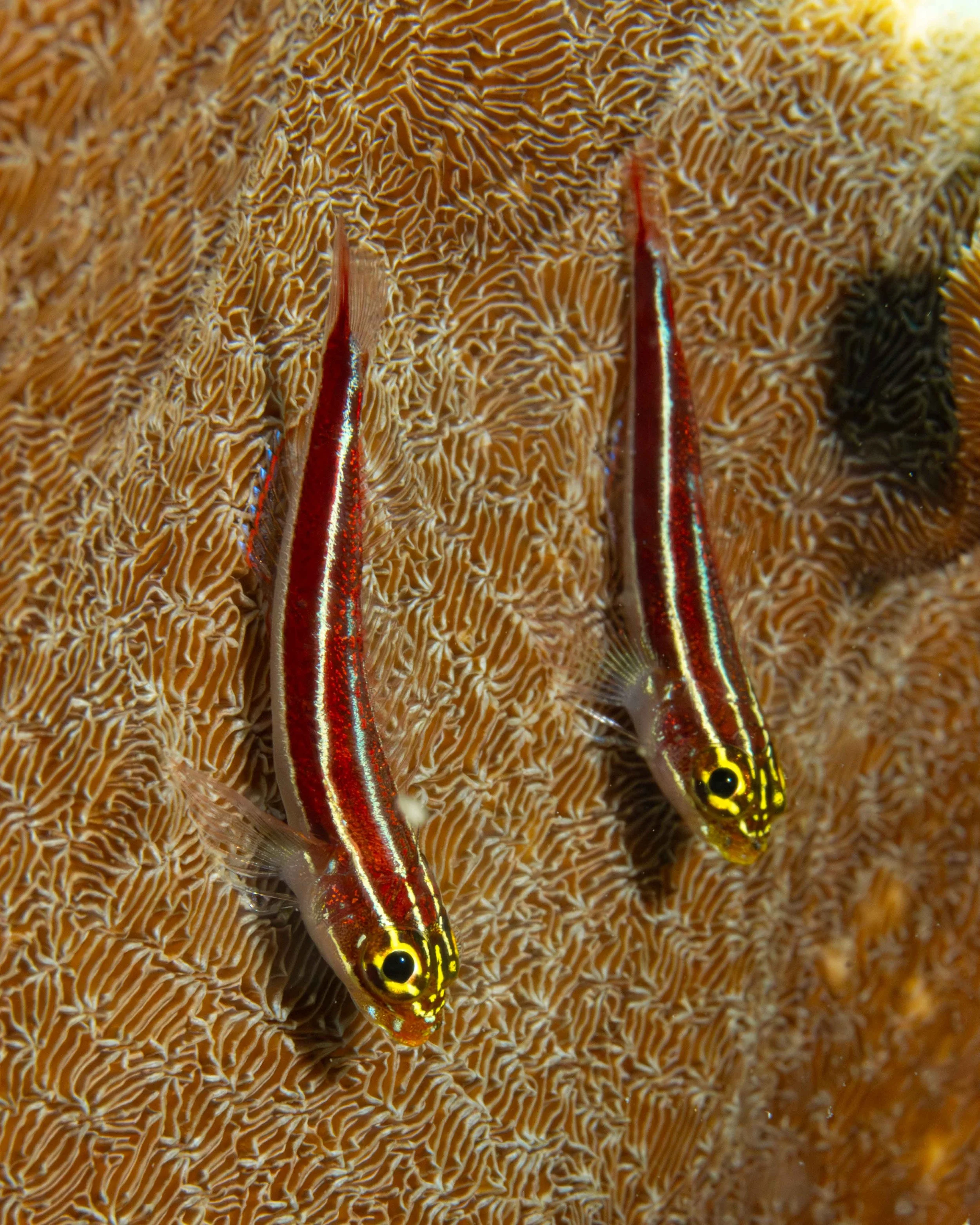DSC09426.jpg