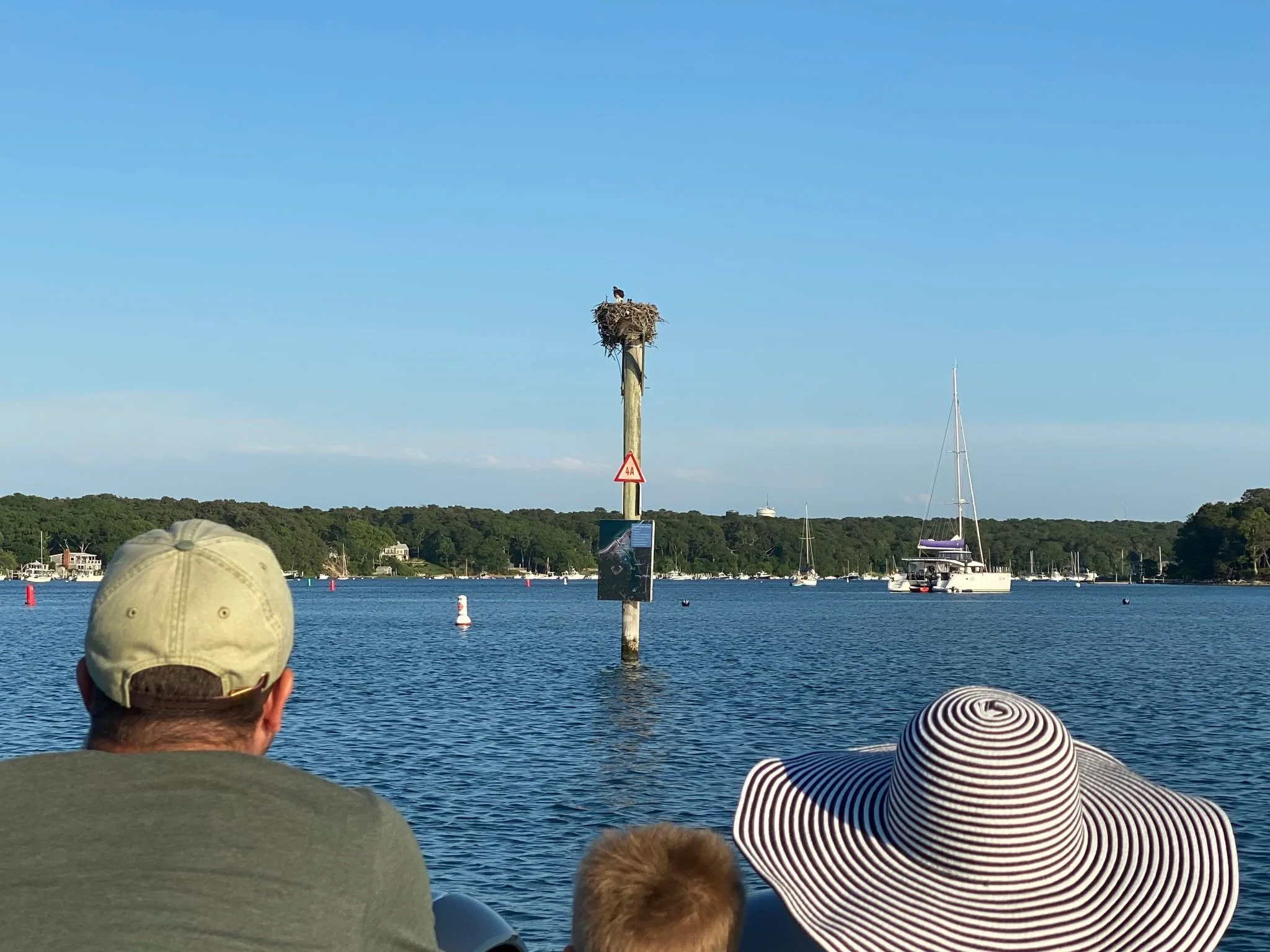 Viewing the majestic Osprey in Lake Tashmoo is one of the highlights on the North Shore route. We're so grateful that the nest platform has been rebuilt! #marthasvineyardboatcharter #marthasvineyardboatcharters #ospreynests #ospreynest
