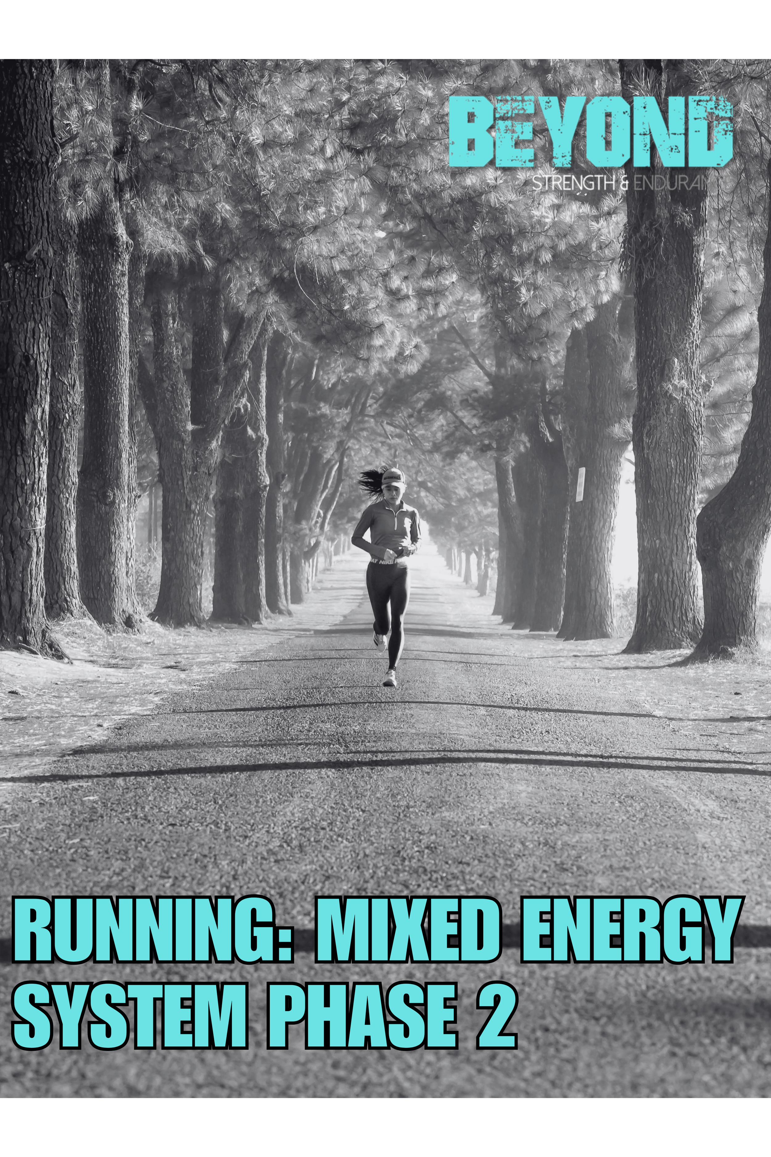 running mixed energy system phase 2.png