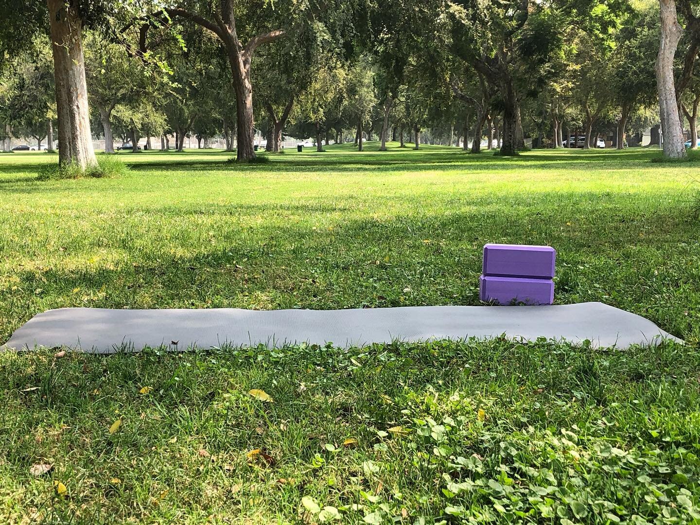 I teach yoga in the park Sundays at 9:30am. We gather about 600 feet east of the community center, under the trees. (Across the street from 5834 Parkcrest Street)

Bring water, a yoga mat, towels or blankets, and yoga blocks if you like! #yoga #yogai