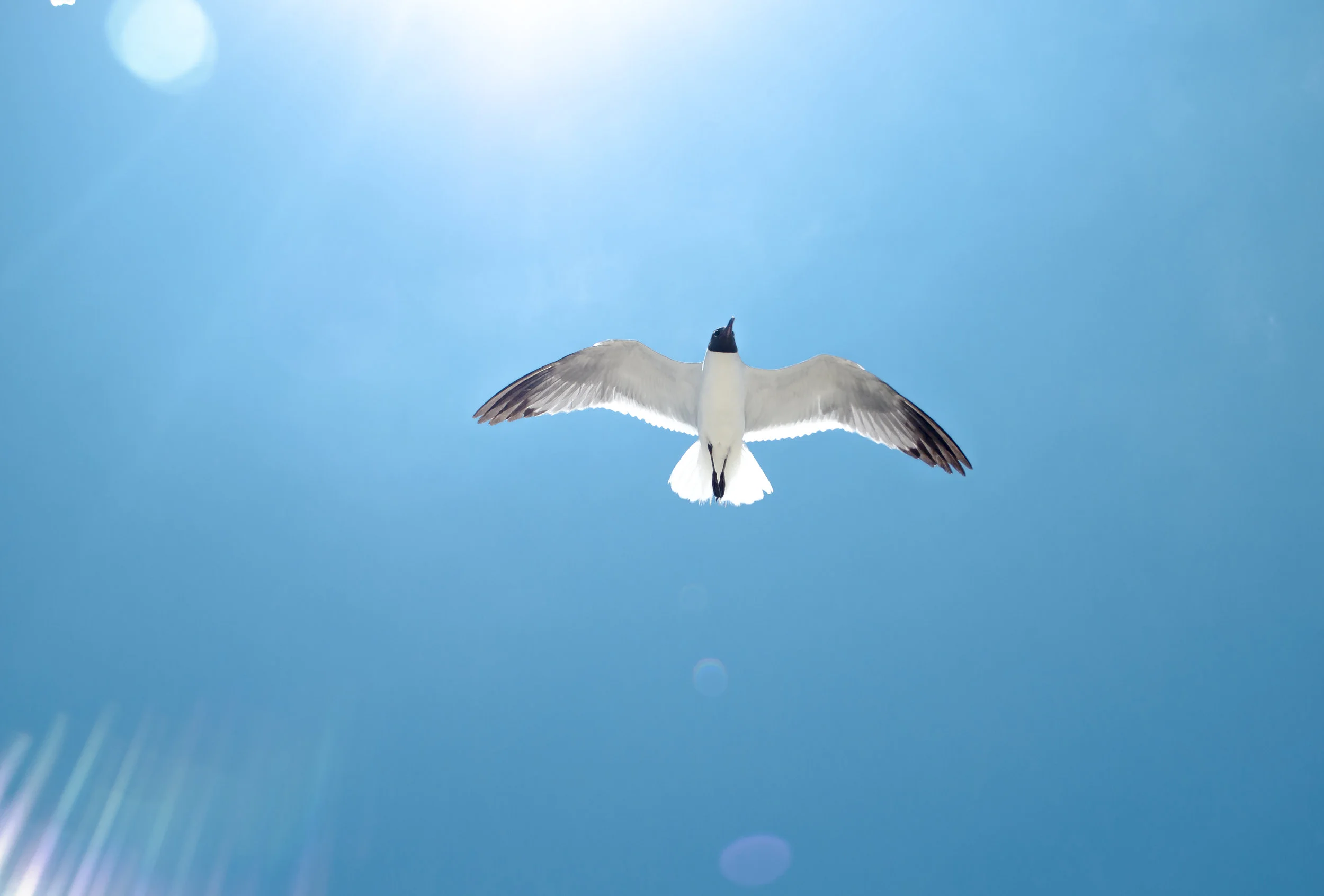 Cuando Toca Decir "Hasta Luego"  A Un Ser Querido