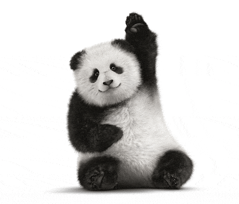 PandaWave.gif
