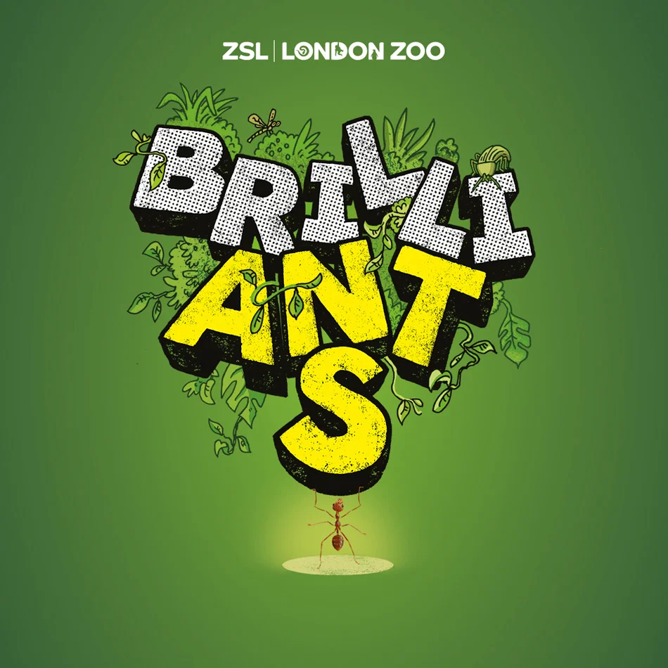 Instagram_Post_1080x1080_Ants_AW.jpg